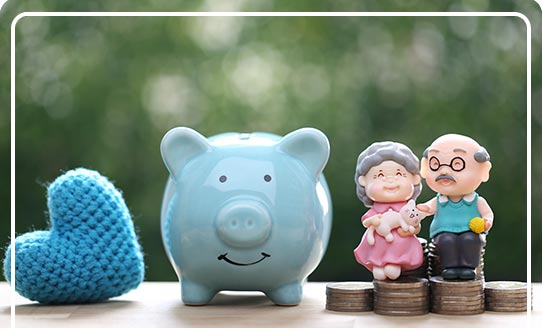 Health Savings Account